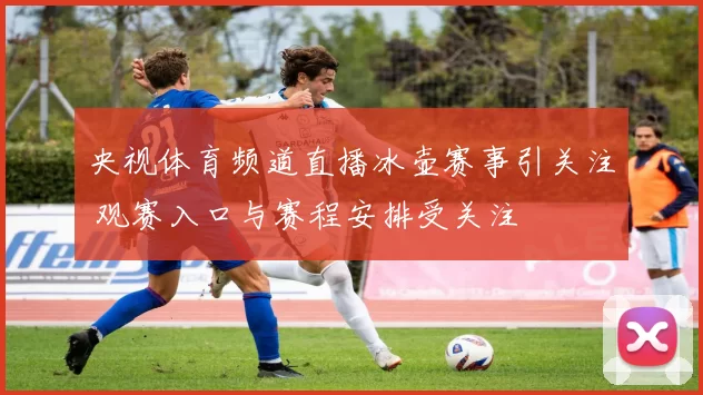 央视体育频道直播冰壶赛事引关注 观赛入口与赛程安排受关注
