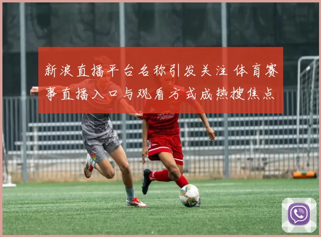 新浪直播平台名称引发关注 体育赛事直播入口与观看方式成热搜焦点
