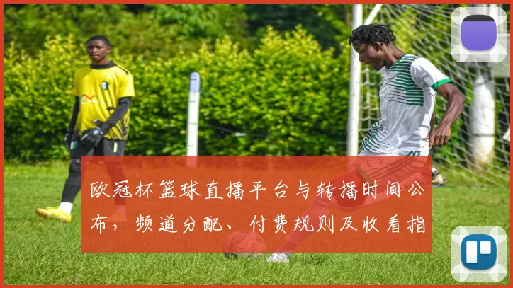 欧冠杯篮球直播平台与转播时间公布，频道分配、付费规则及收看指南