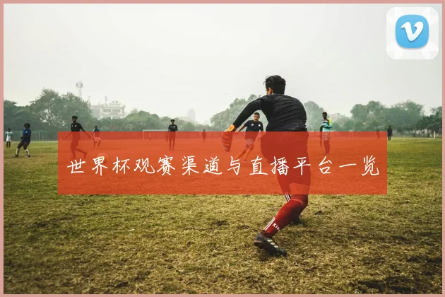 世界杯观赛渠道与直播平台一览