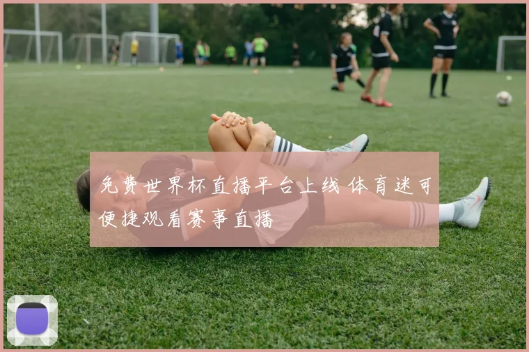 免费世界杯直播平台上线 体育迷可便捷观看赛事直播