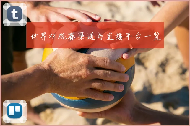世界杯观赛渠道与直播平台一览